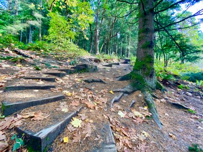 Steps heading up