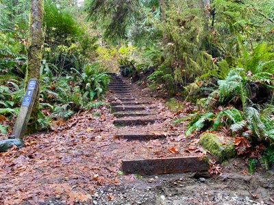 Steps down through the dry creek bed