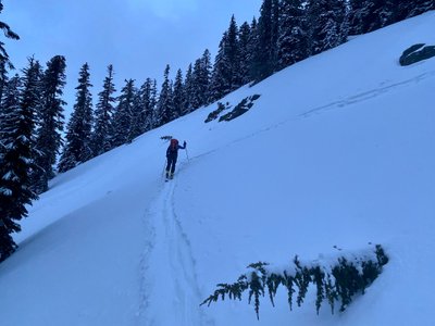 Following the skin track before dawn