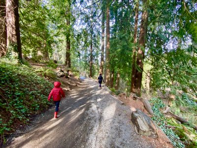 Snoqualmie Falls Walking Trail