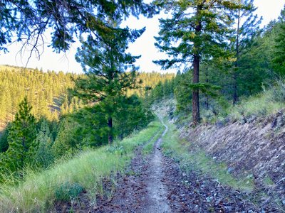 Somewhere to Ride Trail