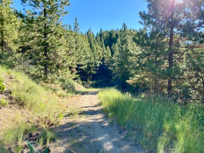 No-Where to Hide trail at Echo Ridge