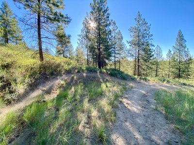 Nice banked turn on the Lot to Lot trail