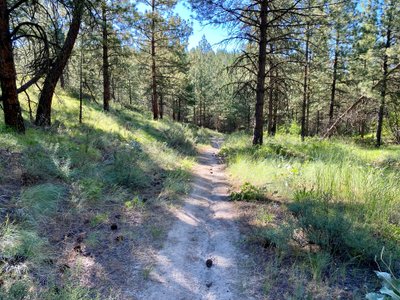 Lower section of Somewhere to Ride