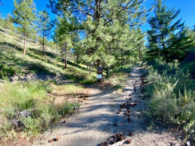 Intersection of Somewhere to Ride and Bob's Trail