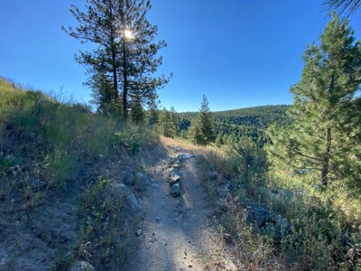 Fun feature on Bob's Trail