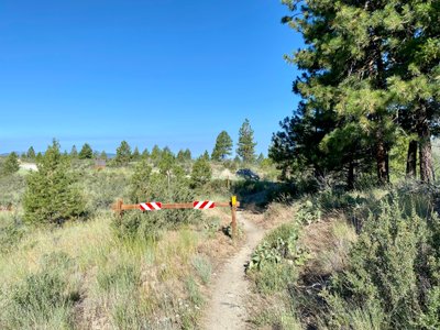Final stretch of the Shoe Trail