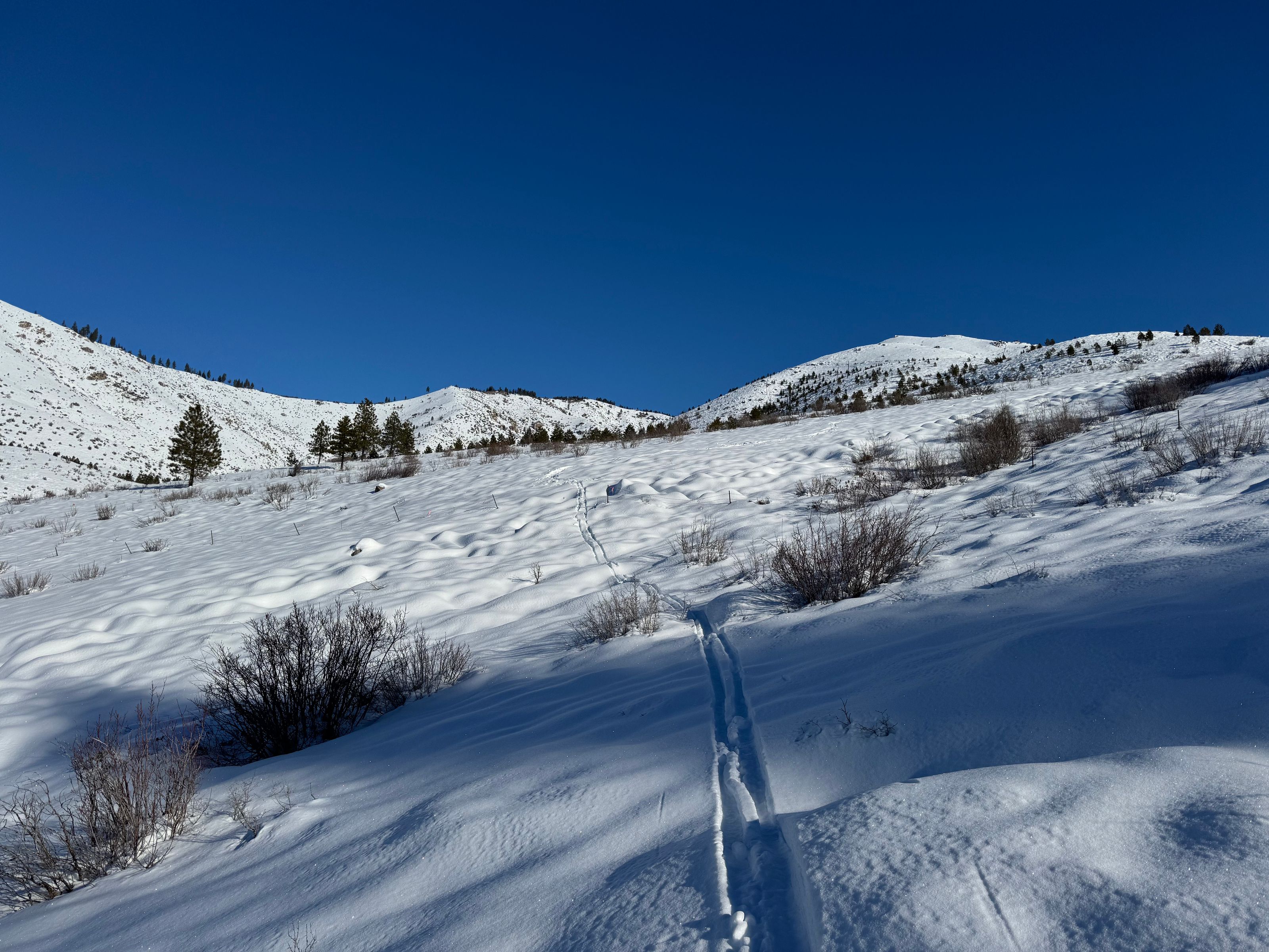 South Goff Ridge Approach