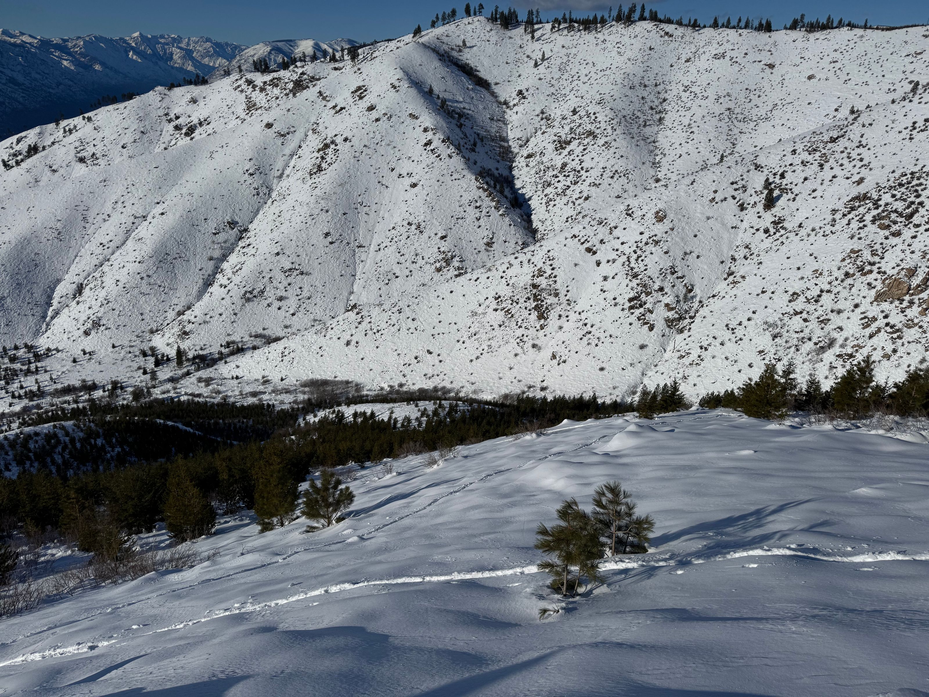 South Goff Ridge
