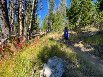 Fall colors on Devil's Backbone Trail
