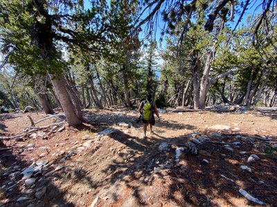 Intersection with Devil's Backbone trail