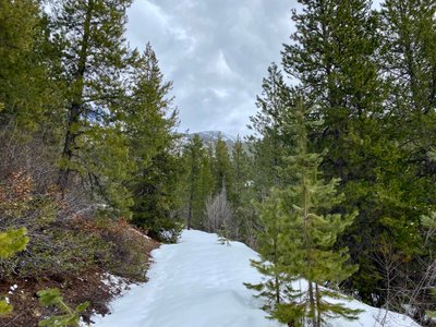 Skinning up Forest Service Road 5502-216