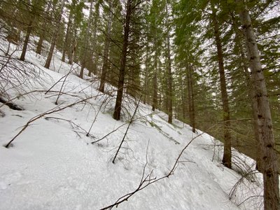 Tough skinning through the drainage