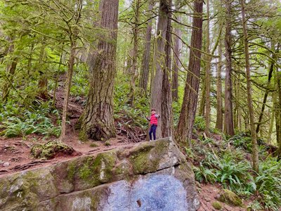 Fun rock to climb on the side of the trail