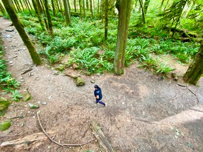 Looking down on the Twin Falls trail