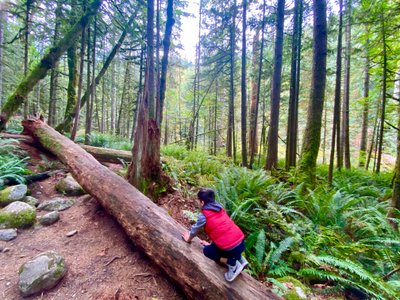 My son playing on a fallen log