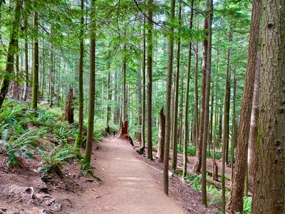 Nice flat part of the Twin Falls trail