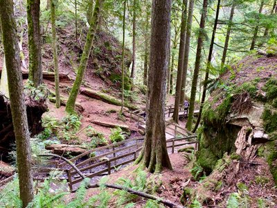 Trail leading to the Twin Falls Bridge