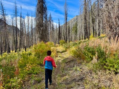 Start of the Twisp Pass Trail