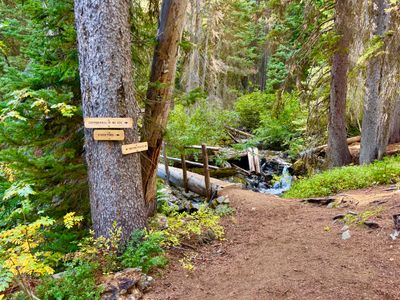 Trail junction and bridge
