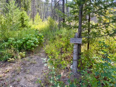 Start of the Twisp River Trail