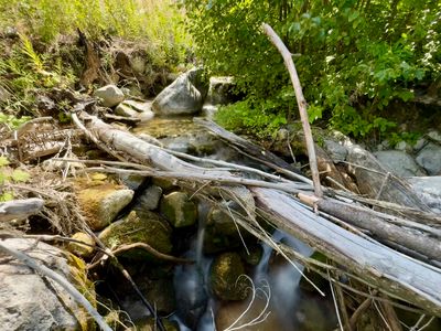 Running Creek