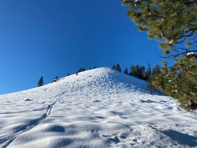 Turns on the open slope
