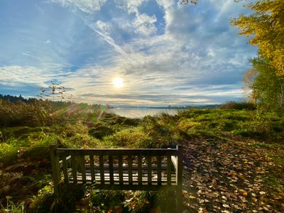 Bench overlooking Lake Washington