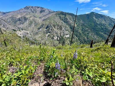 Back in Safety Harbor Creek drainage