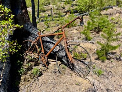 Random bike along the trail