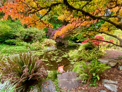 Pool in Washington Park Arboretum