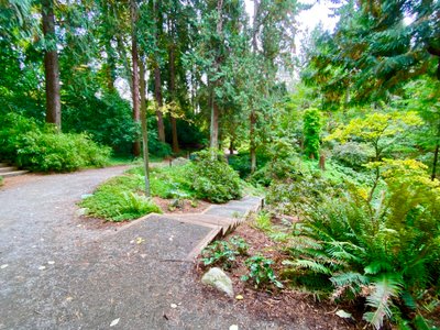 Passing through Rhododendron Glen