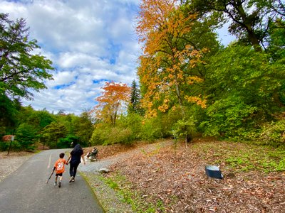 Heading North on the Loop Trail