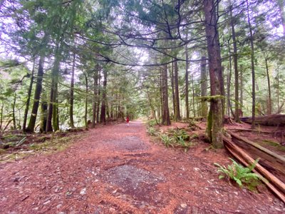 Weeks Falls Trail