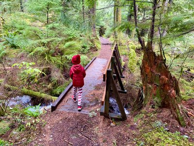 Bridge on the Weeks Falls Trail