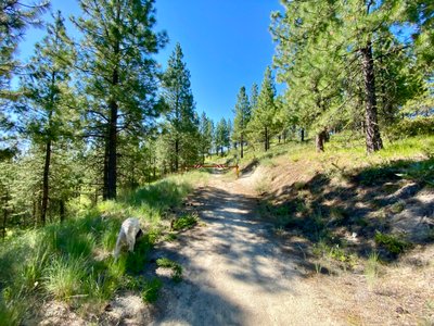 Starting off from the Lower Trailhead on Lolly Pop