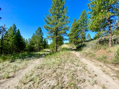 Starting on Whoop-Di-Do trail