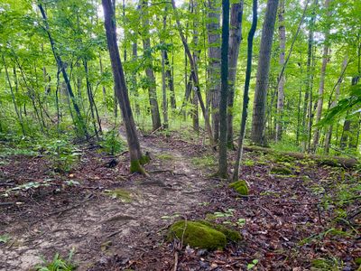 Start of the loop trail