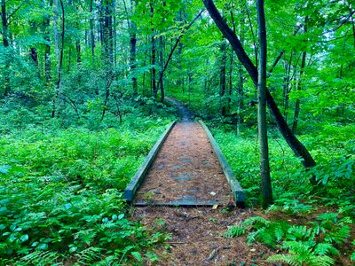 One of the many bridges on the loop trail