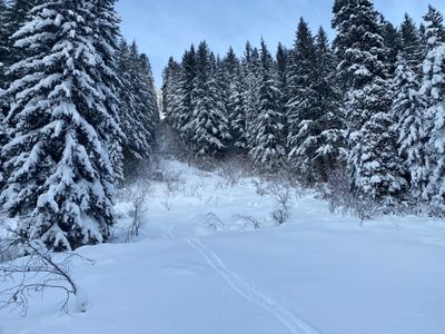 Looking up from Mill Creek