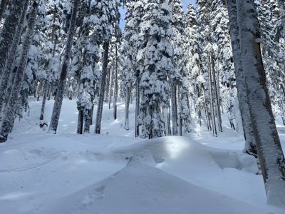 Backside Glades